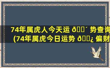 74年属虎人今天运 🌴 势查询(74年属虎今日运势 🌿 偏财运)
